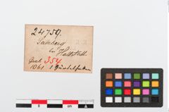 Etiketten zu Bronzegürtelhaken (NHMW-PRAE-024759)